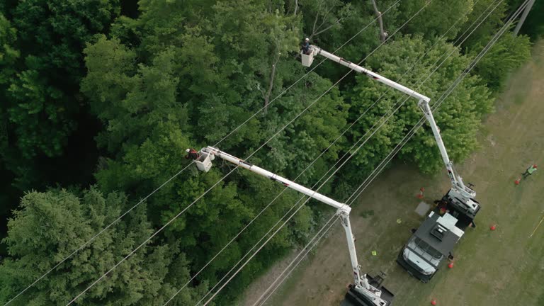 Best Commercial Tree Services  in Bunk Foss, WA